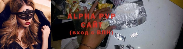 дмт Пересвет