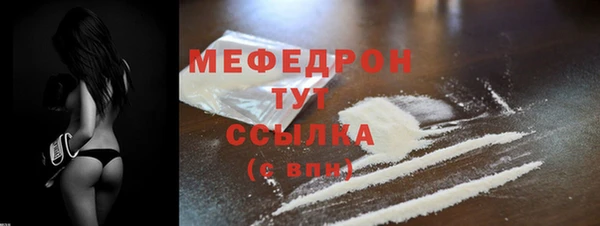 дмт Пересвет