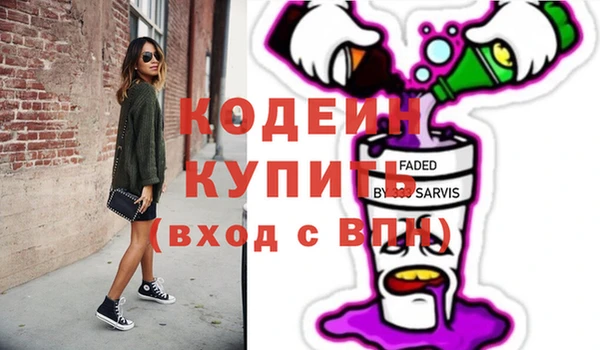дмт Пересвет
