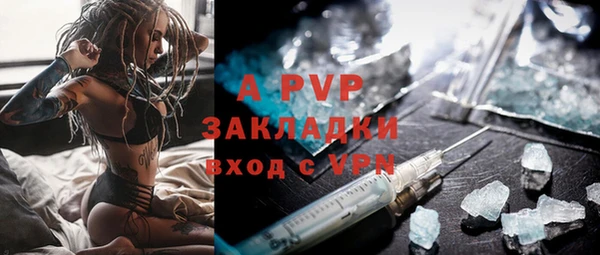 дмт Пересвет