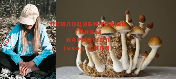 спайс Покачи