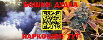 гидра Обь