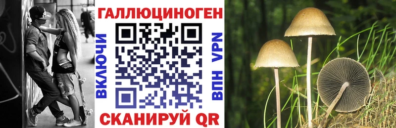купить наркотики сайты  Тутаев  Псилоцибиновые грибы Psilocybe 