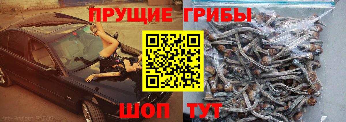 Тутаев  Псилоцибиновые грибы ЛСД  Вход с VPN 